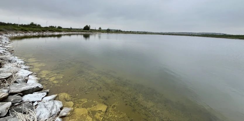 蒸发塘浓盐水